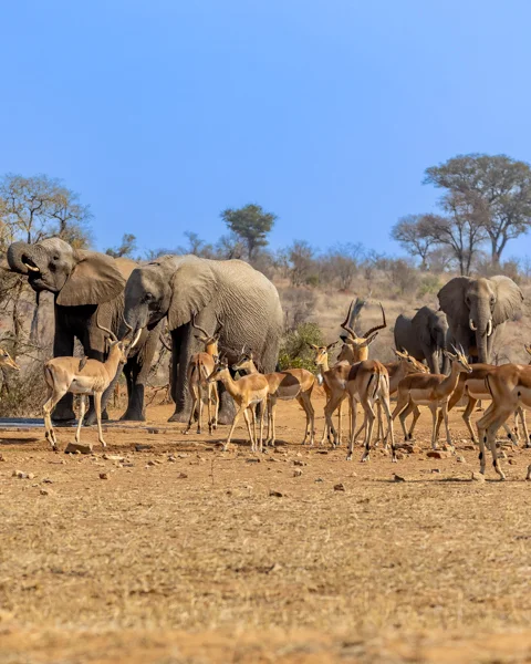 © The Guys Photography - www.theguys.co.za