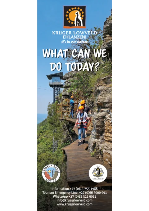 What Can We Do Today?